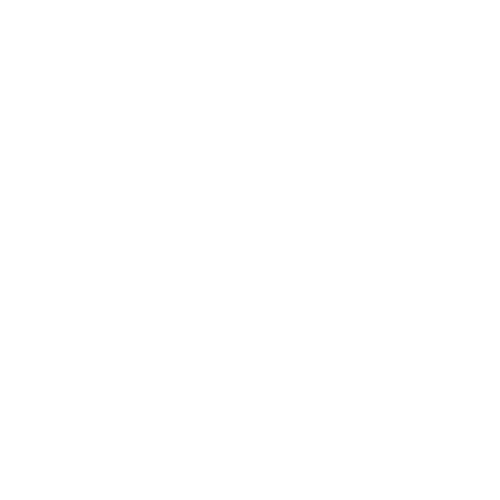 Pricing-Vital